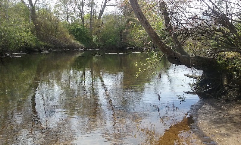Wertheim National Wildlife RFG photo 1
