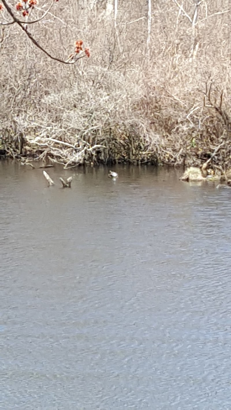 Wertheim National Wildlife RFG photo 3