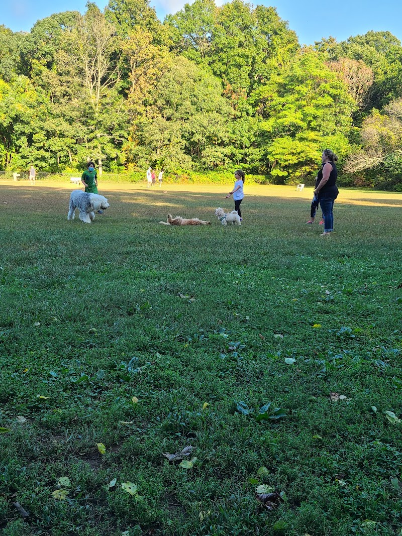 West Hills Big Dog Run photo 2