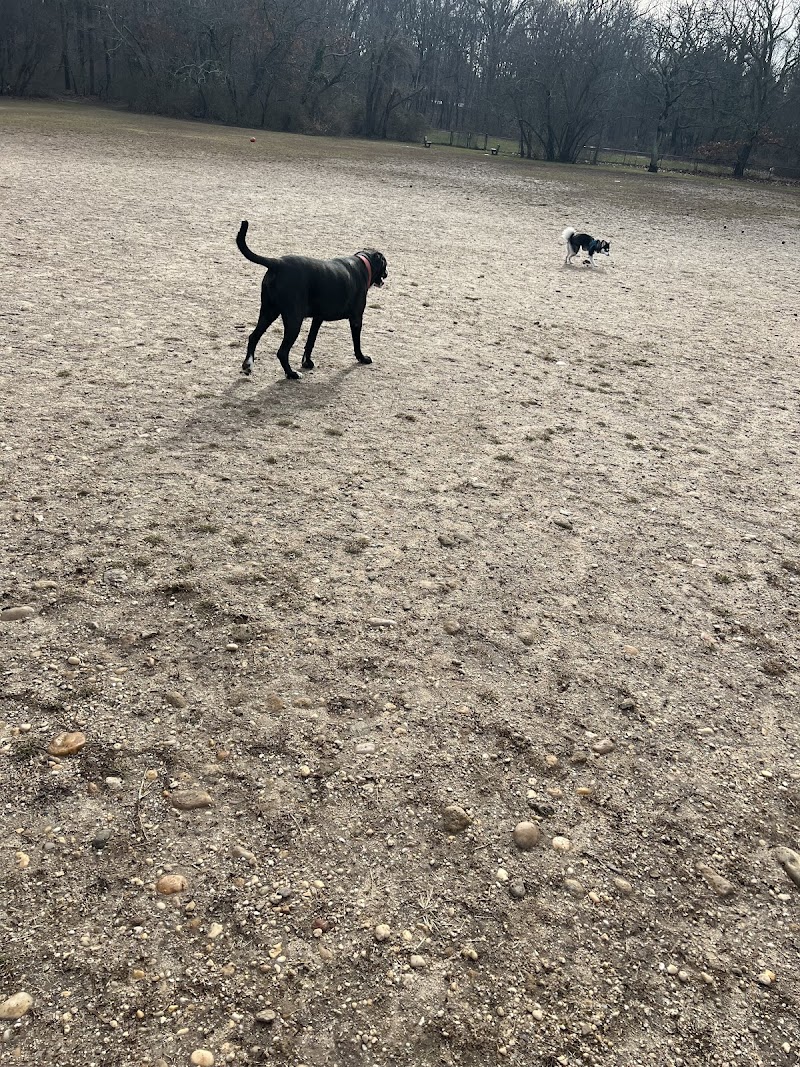 West Hills Big Dog Run photo 3