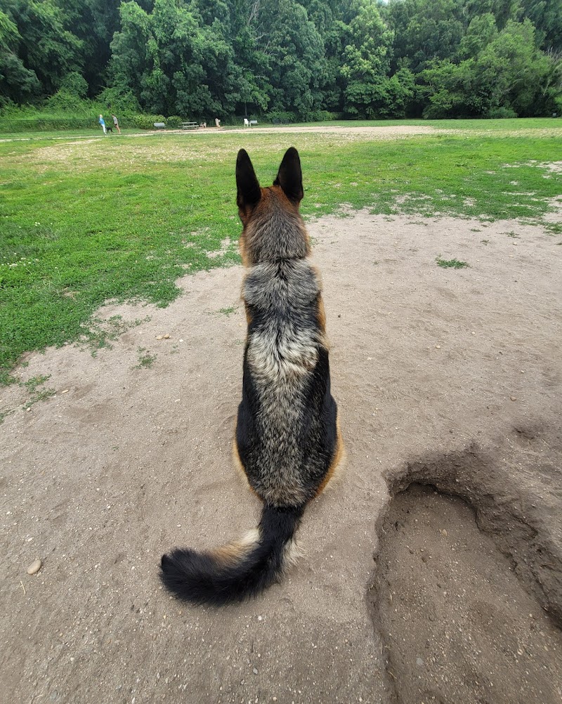 West Hills Big Dog Run photo 4