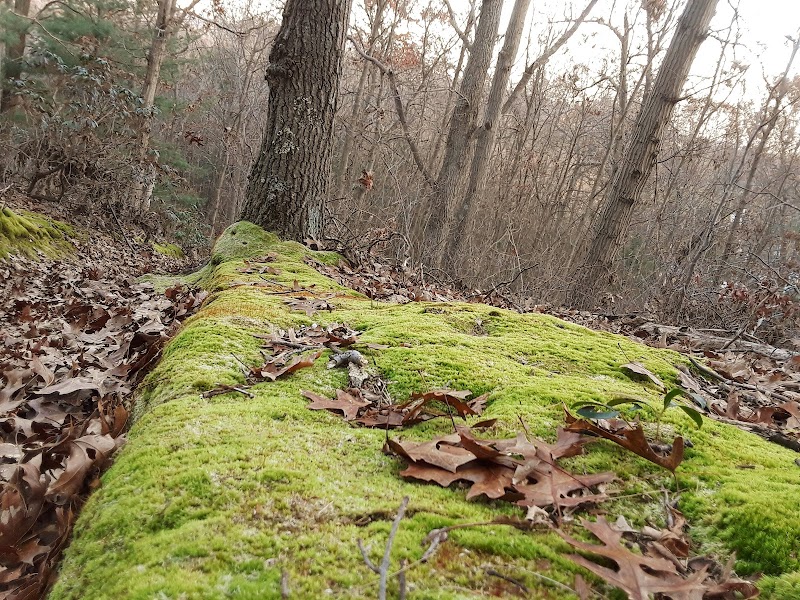 West Hills Nature Preserve photo 3