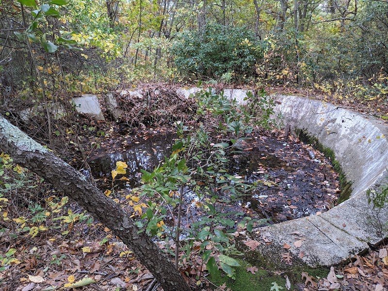 West Hills Nature Preserve photo 4