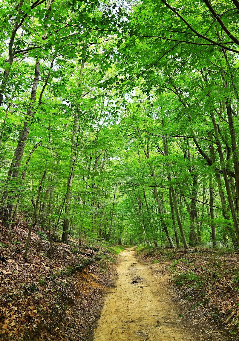 West Hills Park photo 2