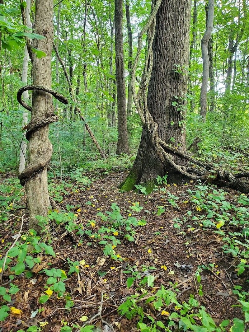 West Hills Park photo 3