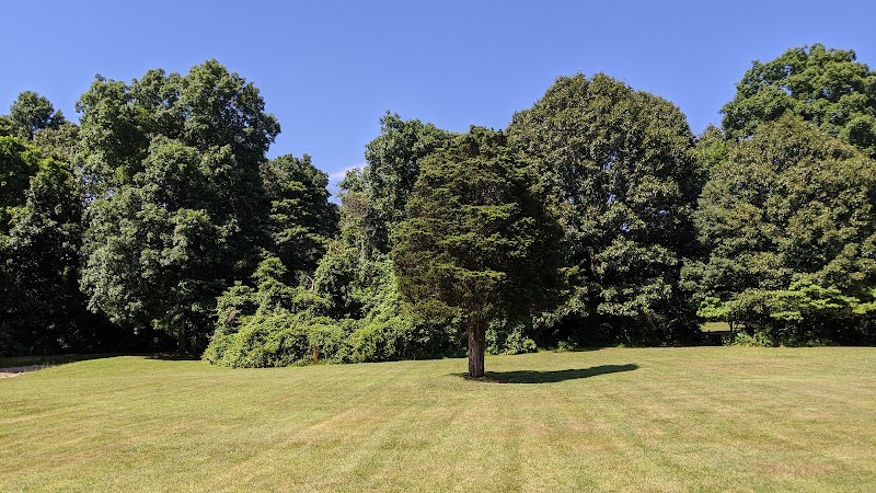 West Hills Park photo 4