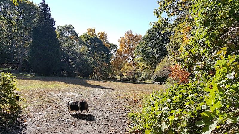 West Hills Small Dog Run photo 2
