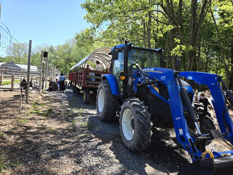 West Maple Farm photo 1