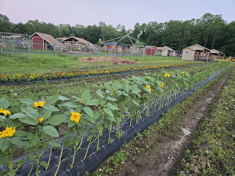West Maple Farm photo 5