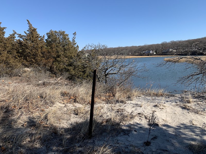 West Meadow Beach photo 5