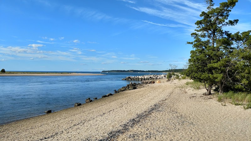 West Meadow Wetlands Reserve photo 2