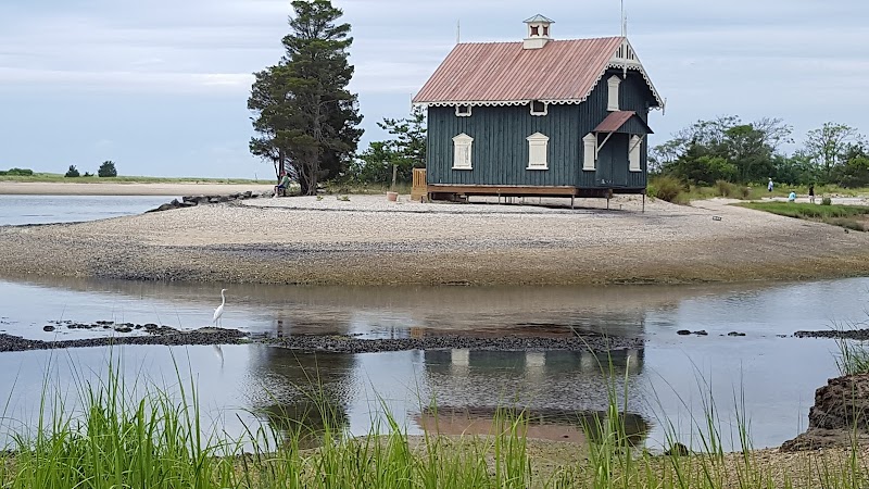 West Meadow Wetlands Reserve photo 3