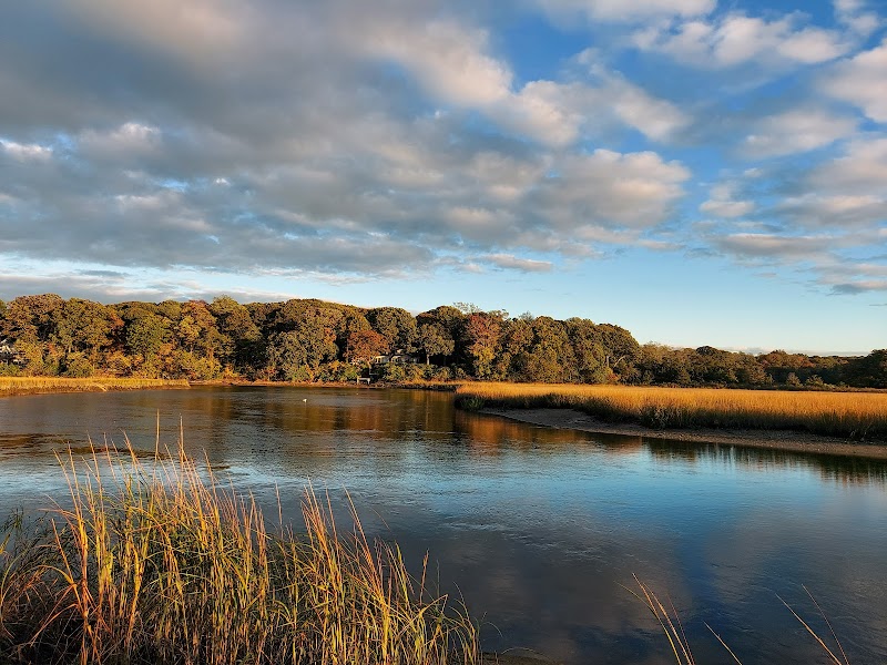 West Meadow Wetlands Reserve photo 5
