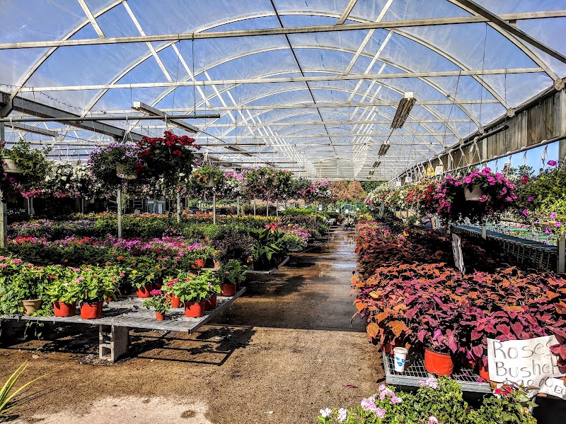 Westchester Greenhouses & Farm photo 2