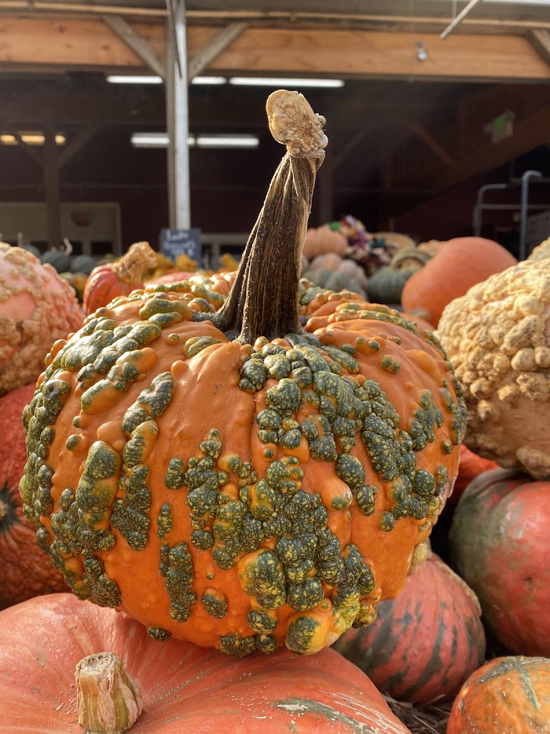 Westchester Greenhouses & Farm photo 3