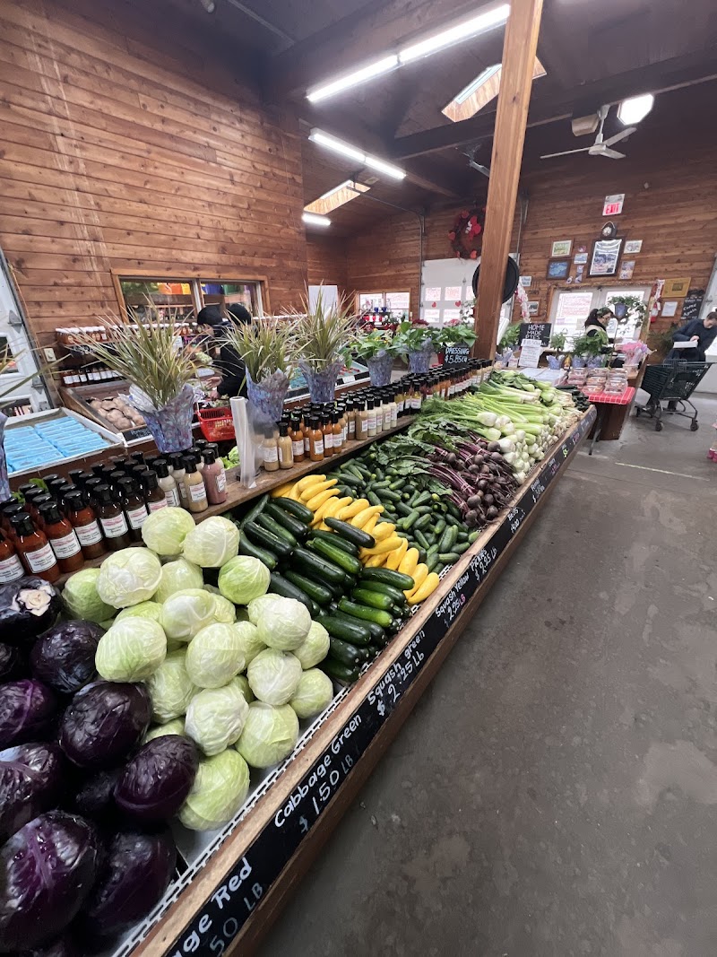 Westchester Greenhouses & Farm photo 4