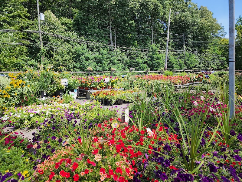 Westchester Greenhouses & Farm photo 5
