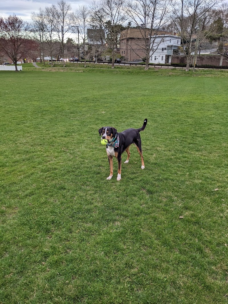 Western Greenwich Civic Center Park photo 4