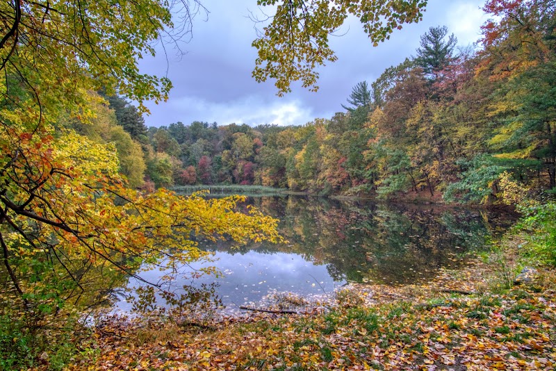 Westmoreland Sanctuary photo 2