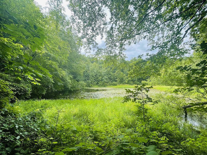 Westmoreland Sanctuary photo 3