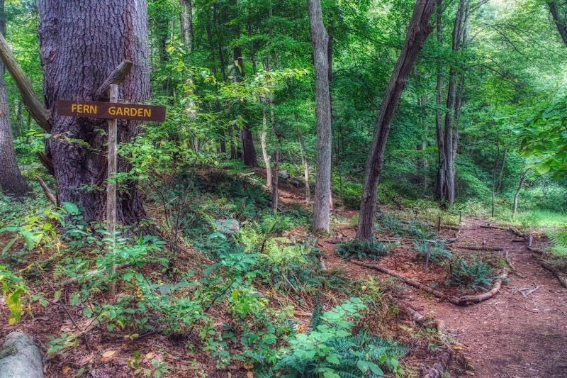 Westmoreland Sanctuary photo 4