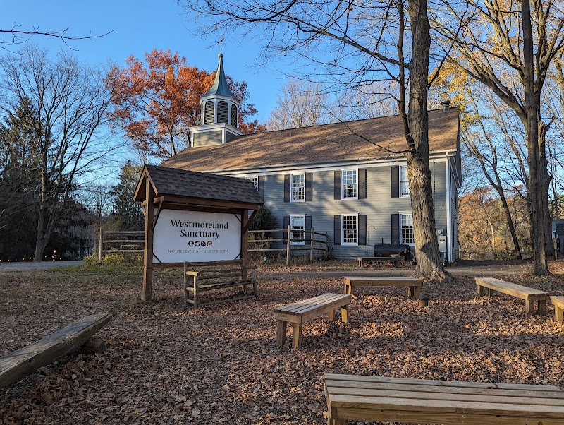 Westmoreland Sanctuary photo 5