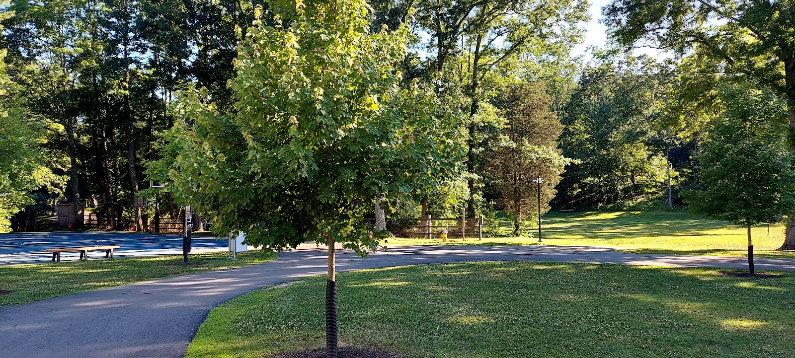 Westport Weston Family YMCA photo 1