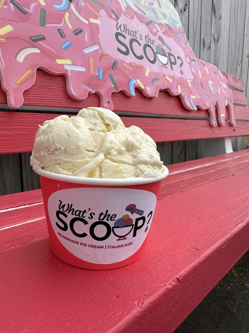 What’s the Scoop? photo 3