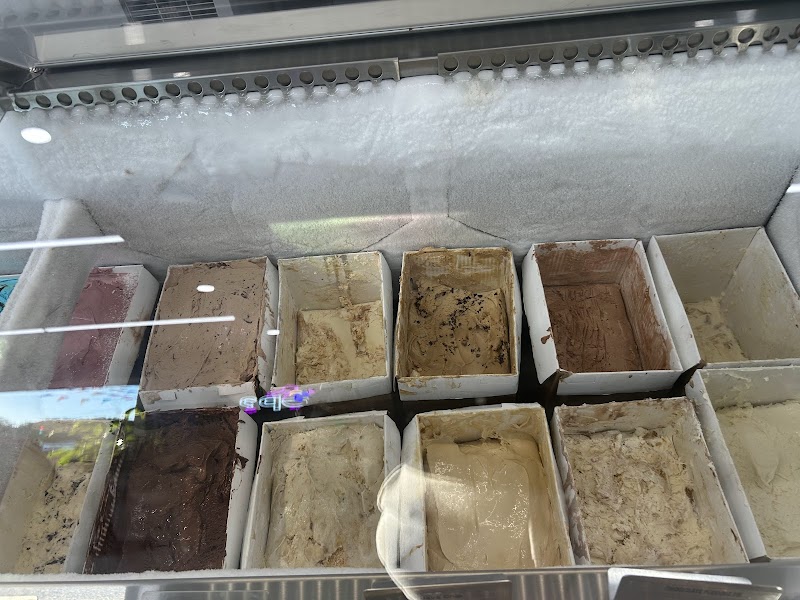 What’s the Scoop? photo 5