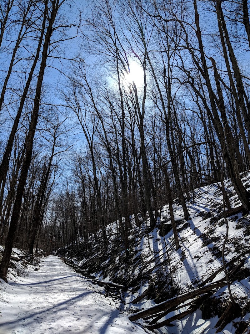 Whittemore Glen State Park Scenic Reserve photo 3