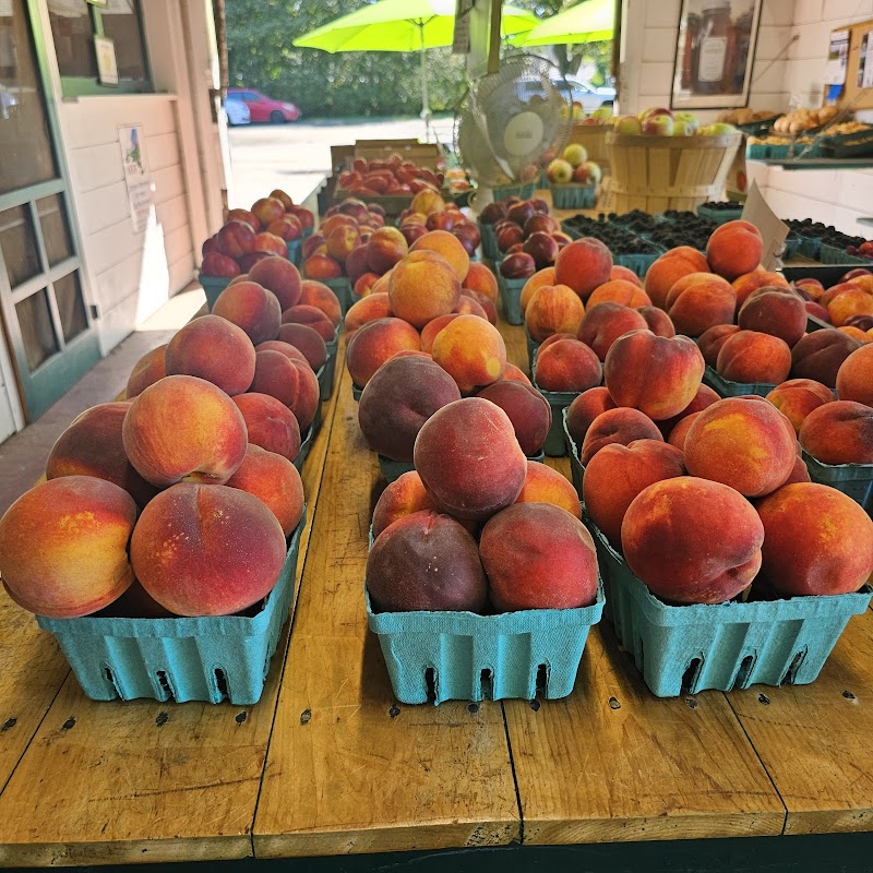 Wickham's Fruit Farm photo 4