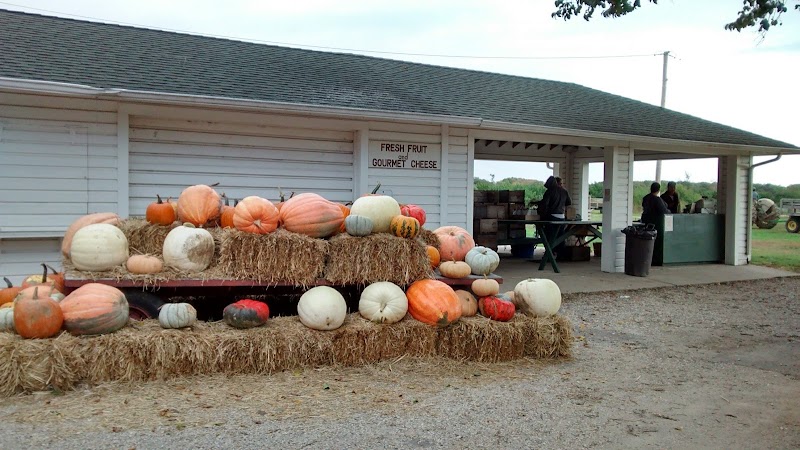 Wickham's Fruit Farm photo 5