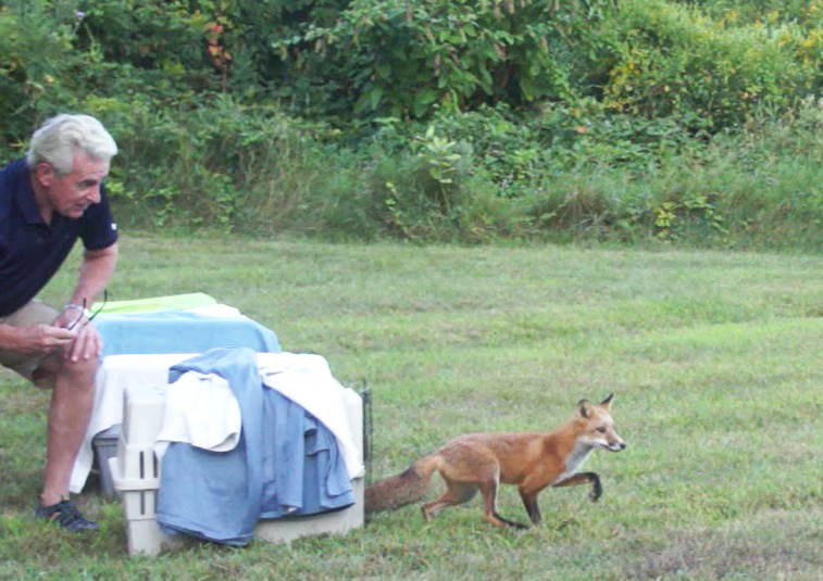 Wildlife In Crisis photo 3