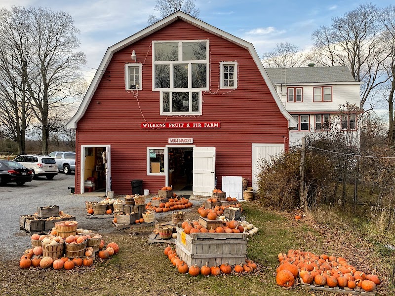 Wilkens Fruit & Fir Farm photo 3