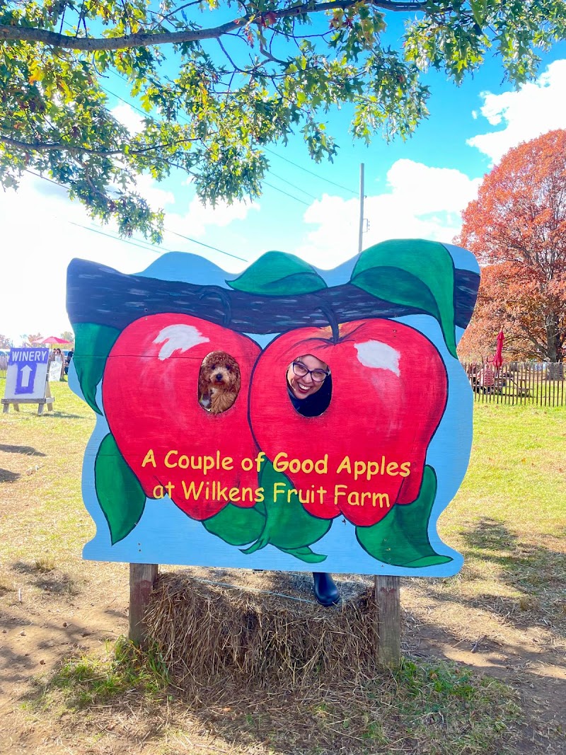 Wilkens Fruit & Fir Farm photo 5