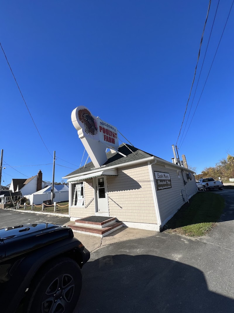 Will Miloski's Poultry Farm photo 4