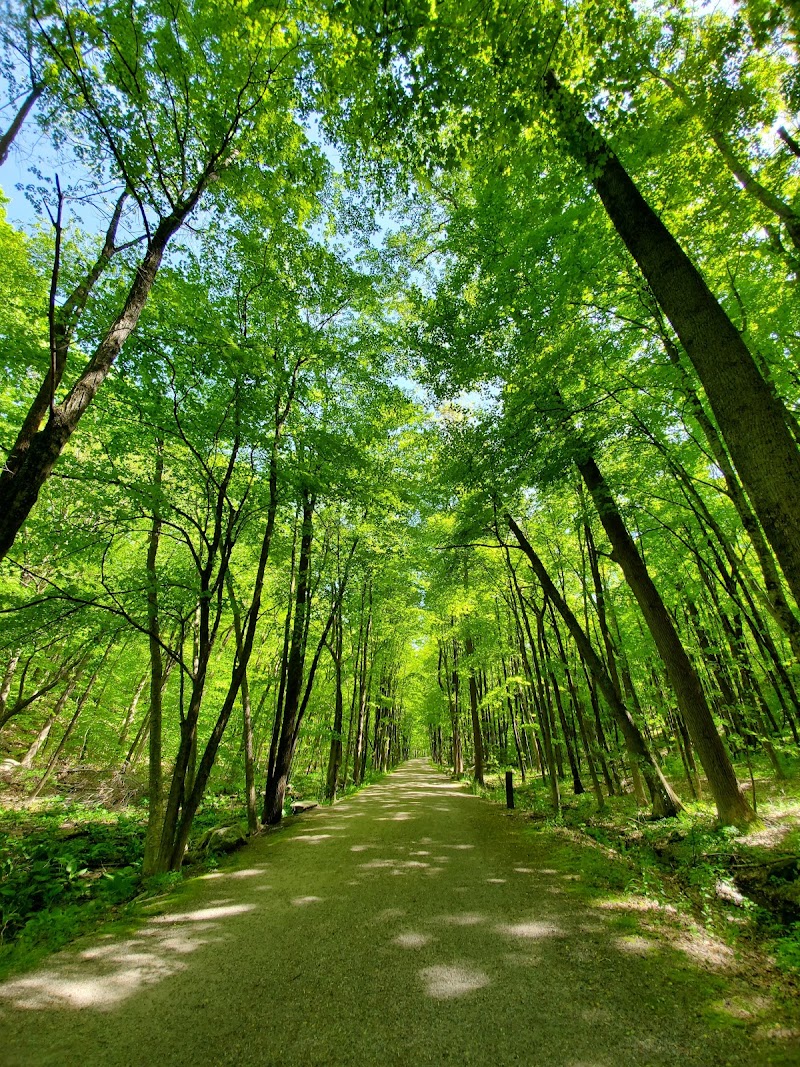 William E. Wolfe Park photo 5