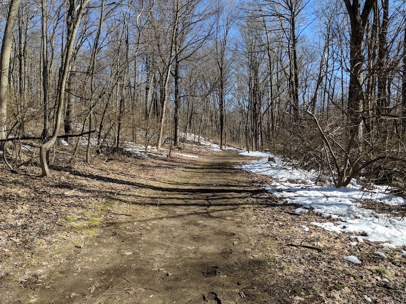 Williams Park