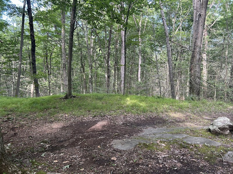 Wilton Town Forest photo 3