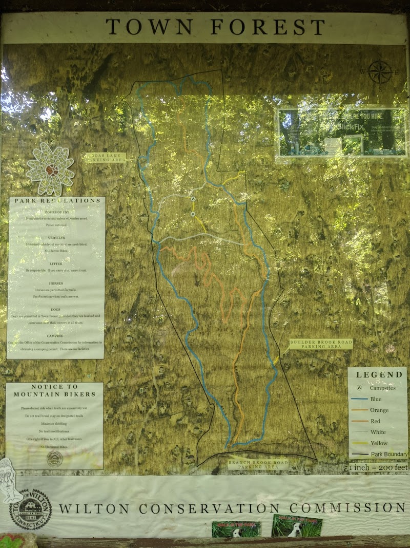 Wilton Town Forest photo 4