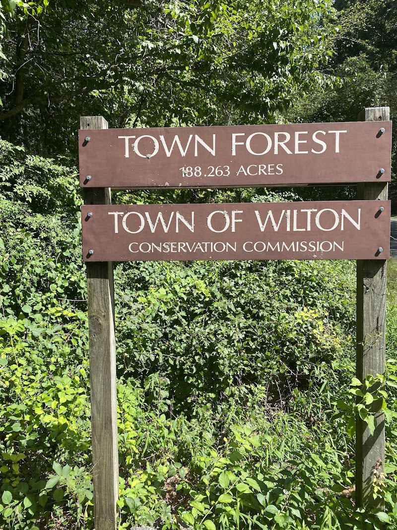 Wilton Town Forest photo 5