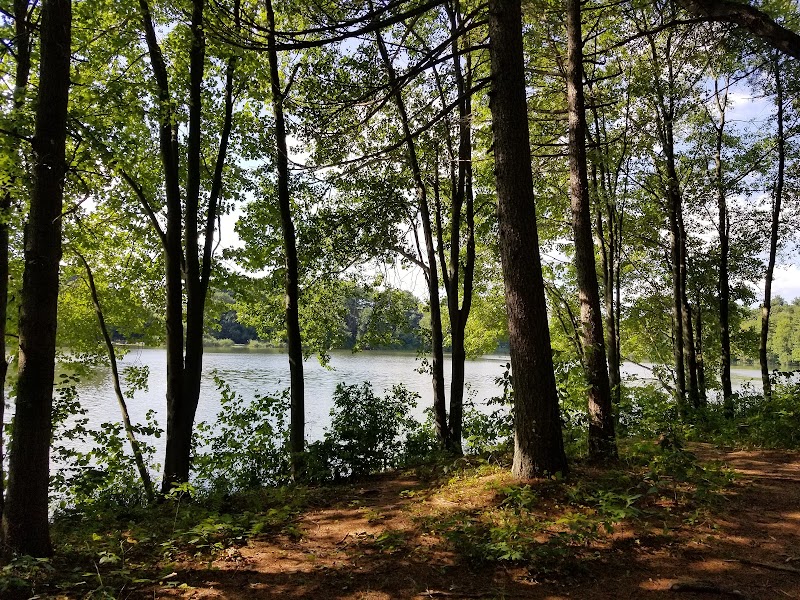 Witek Park photo 2
