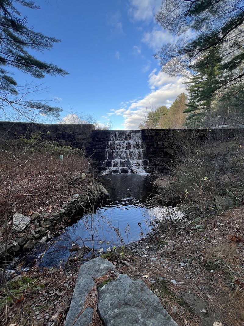 Witek Park photo 3