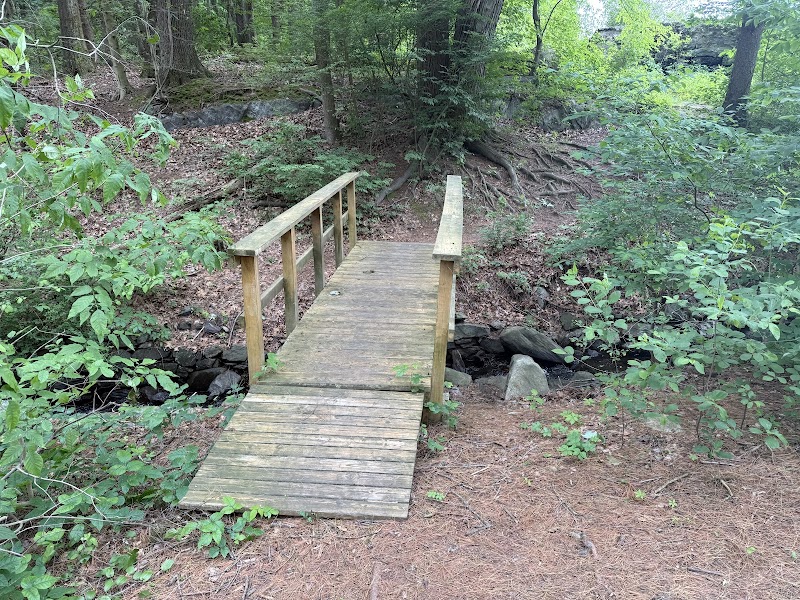 Witek Park photo 4