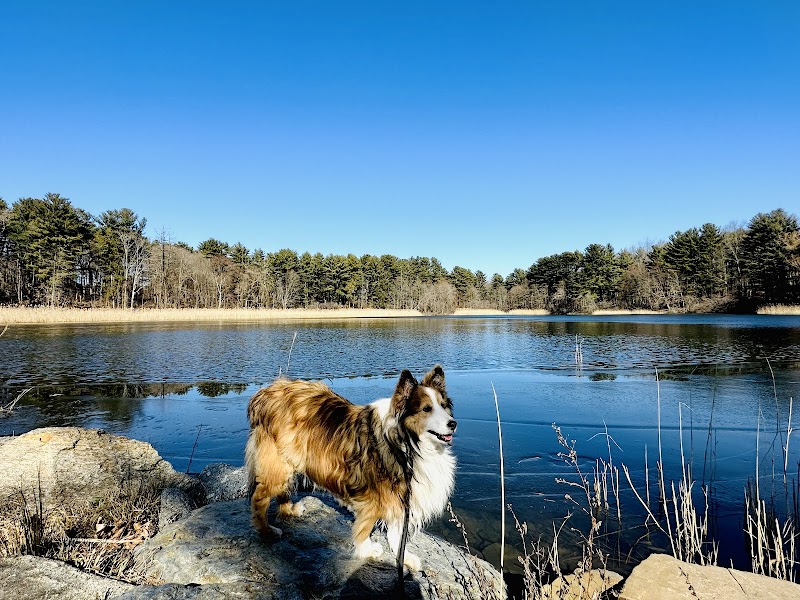 Witek Park photo 5