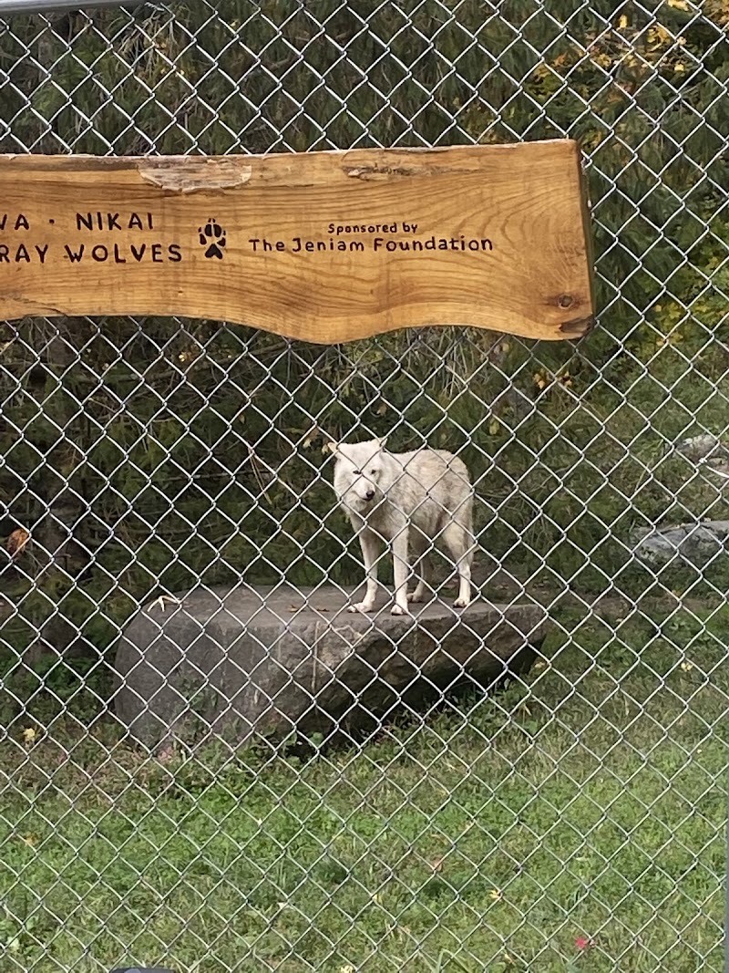 Wolf Conservation Center photo 2