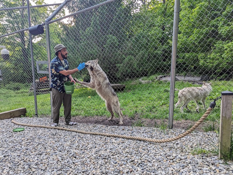 Wolf Conservation Center photo 3