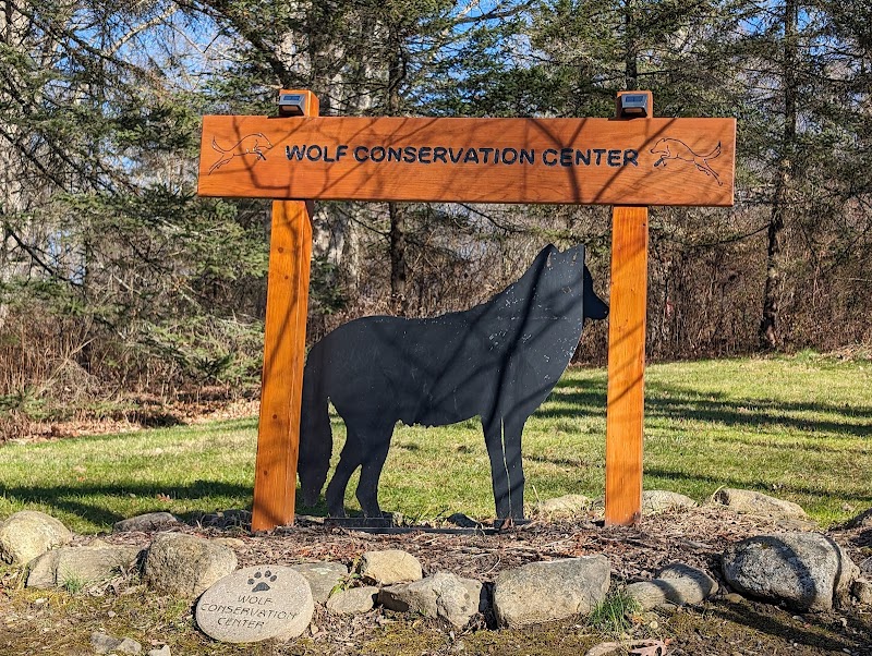 Wolf Conservation Center photo 5