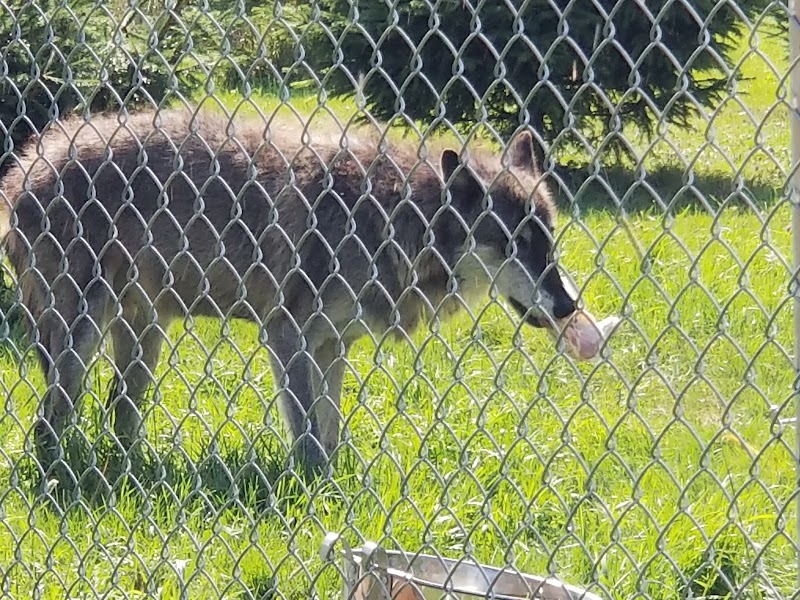 Wolf Mountain Nature Center photo 3