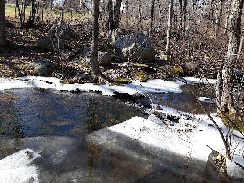 Woodcock Nature Center photo 3